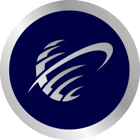 Management & Strategy Institute logo